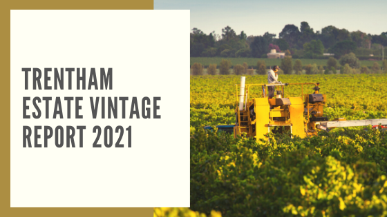 Trentham Estate Vintage Report 2021